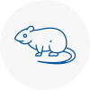 Rat Control Palmers Green